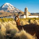 Bolivia