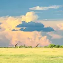 Botswana