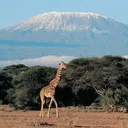 Kenya