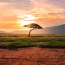 Malawi