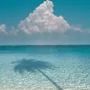 Tonga