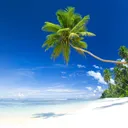 Samoa
