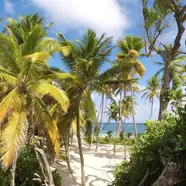 Antilles néerlandaises