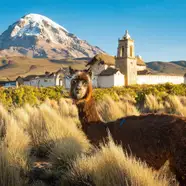 Bolivie