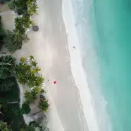 Jamaïque
