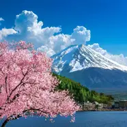 Japon