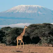 Kenya
