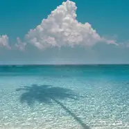 Tonga