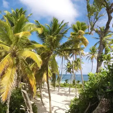 Netherlands Antilles