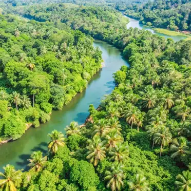Cameroon