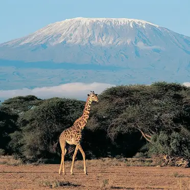 Kenya