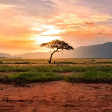 Malawi