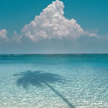 Tonga