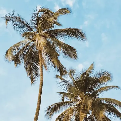 Côte d`Ivoire