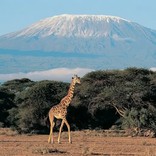 Kenya