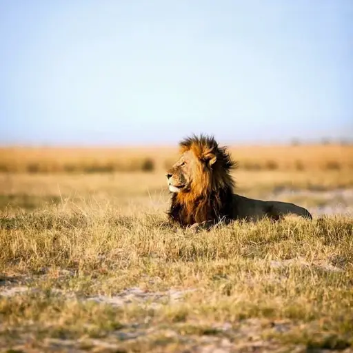 รวันดา