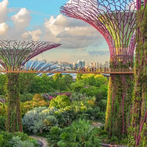 Singapour