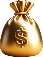 money bag